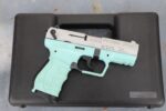 Walther Arms Silver Angel Blue / Nickel PK380 380 ACP USED 5050325 (Used) – WB141975 - View 7